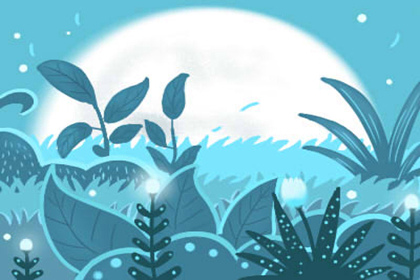 翻开这本小名大全 豁然开朗 