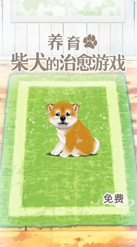 柴犬育成