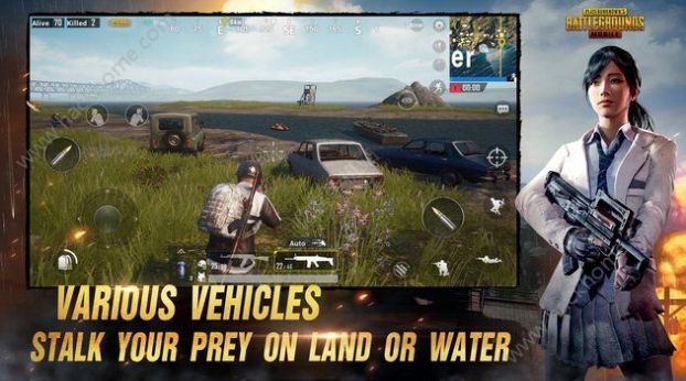 PUBG MOBILE印度服官方版图片1