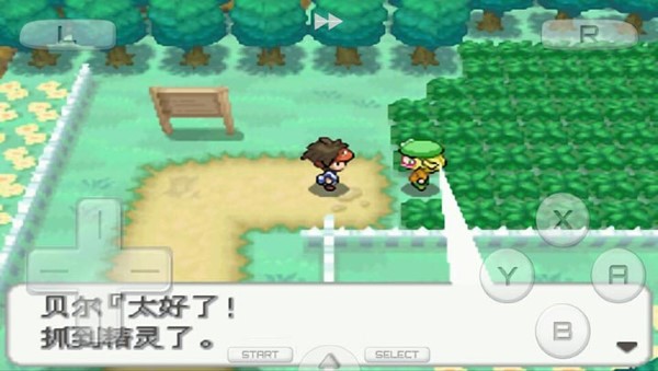 口袋妖怪白2649版汉化版金手指下载图片1
