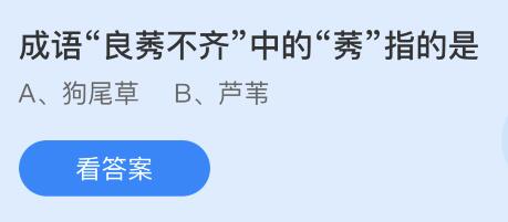 蚂蚁庄园11月24日答案最新