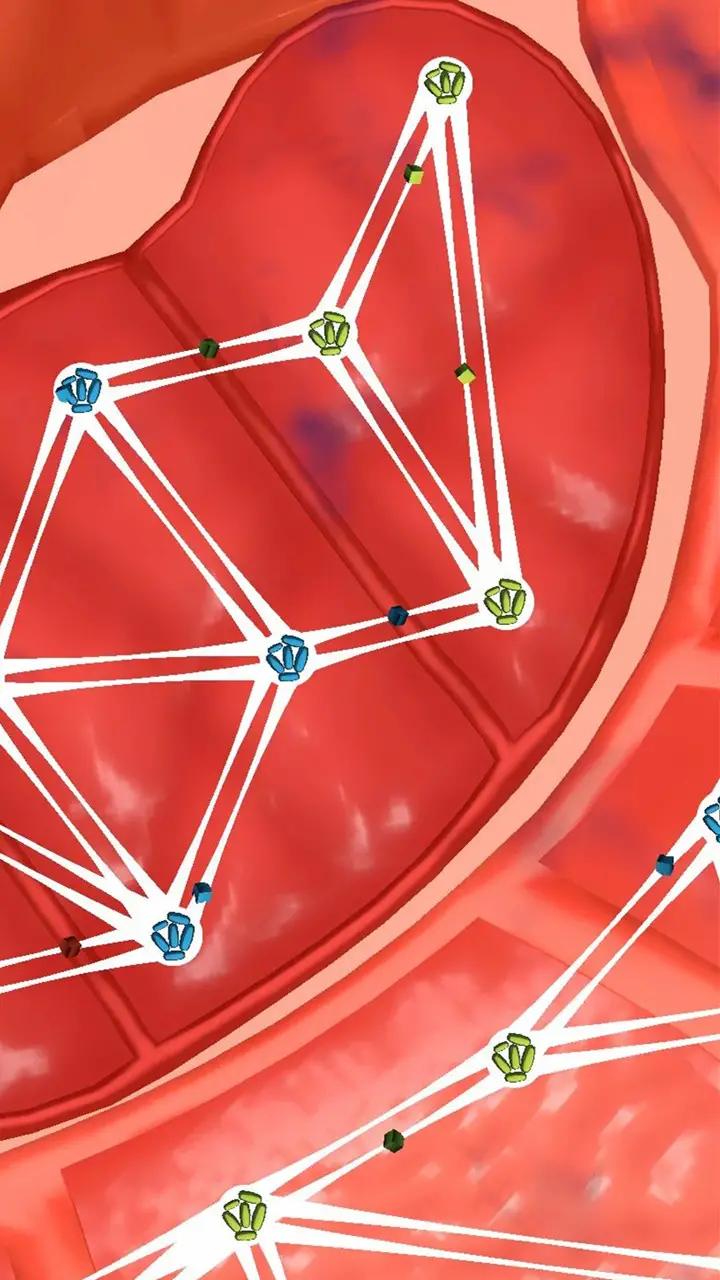 人体细胞连接游戏安卓最新版图片1