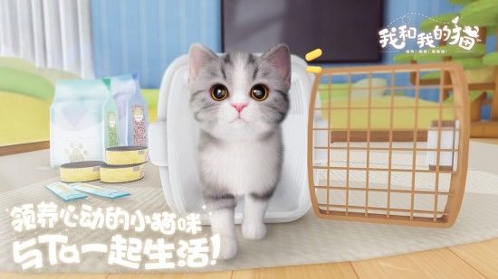 我和我的猫安卓版下载图片1