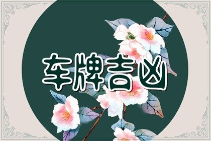 生肖蛇车牌号怎么选 最聚财吉祥的车牌数字