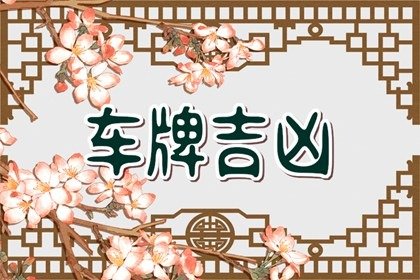 车牌号带两个2 车牌号2开头2结尾好不好