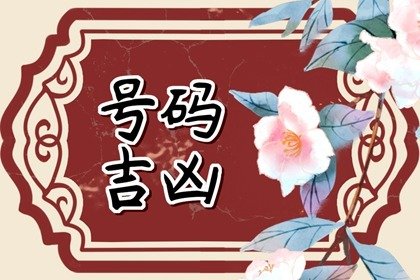 属马人车牌号539的号码好 最聚财吉祥的车牌数字