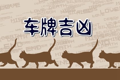 车牌吉利字母组合大全 车牌数字选择方法