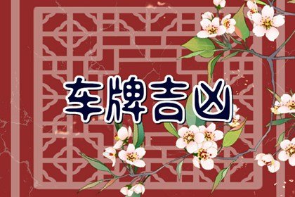 车牌号尾号字母算什么 车牌号最后一位是字母怎么选