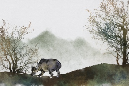 1985属牛女人的婚姻和命运 属牛女婚姻太强势