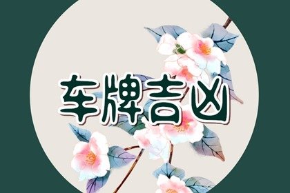 12生肖车牌号吉祥数字 安全的车牌号推荐