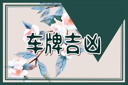 生肖龙车牌号吉祥的字母 属相龙的车牌吉祥数字