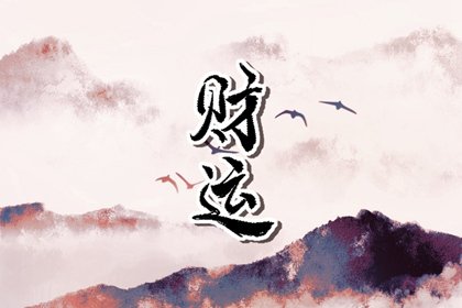 属鼠人车牌号吉祥字母 招财旺运的字母选择