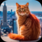 猫咪历险记大都市游戏下载