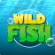 WildFish手游