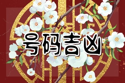 怎么分析手机号码的好坏 手机号码666好么