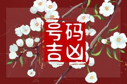 手机号码测婚姻(超准) 手机号666跟999哪个好