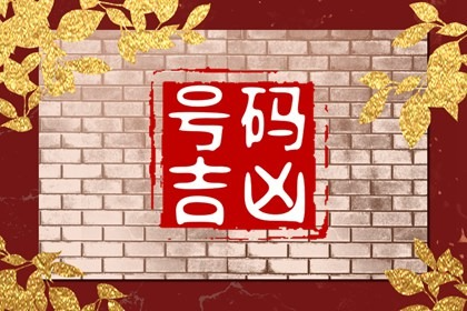 生肖龙选车牌号尾号是45吉吗 吉祥旺运的车牌数字寓意