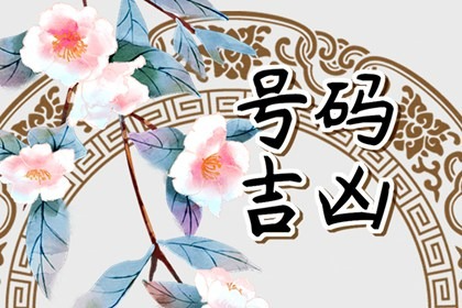 属鼠车牌号吉祥字母 车牌字母选择的原则