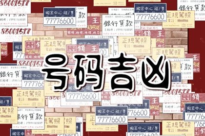 女人车牌带38车号好吗 具体数字具体分析