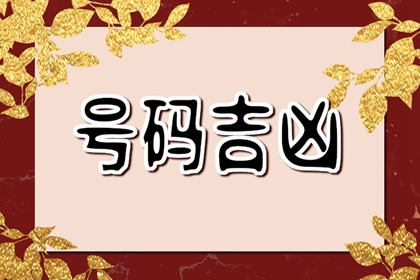 车牌号数字被字母隔开了为什么纯数字车牌号贵