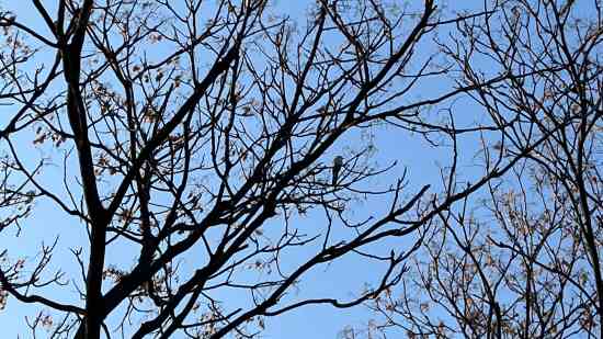 幽默内涵游戏名字