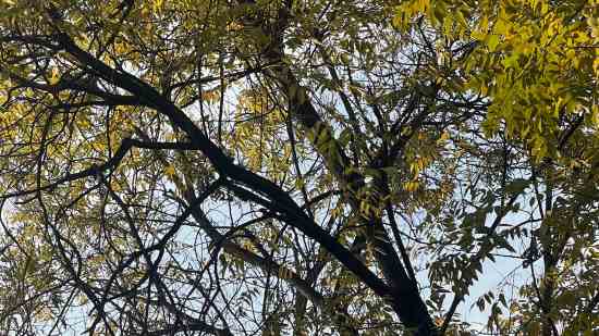 沧桑的游戏网名