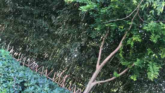 炫舞游戏名字大全