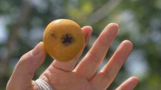 好听文艺游戏网名