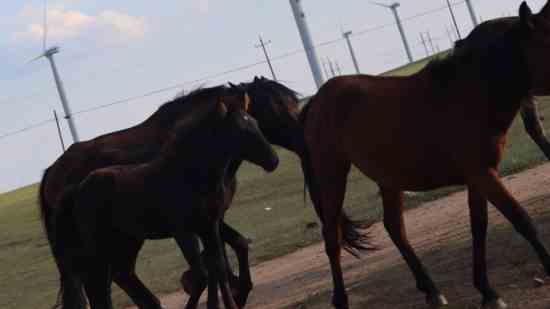 好听的游戏网名大全2025