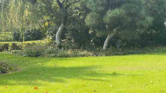 梦幻西游名字大全三个字