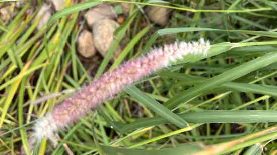 无尽的拉格朗日好听的名字