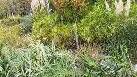 超酷个性男生游戏名字