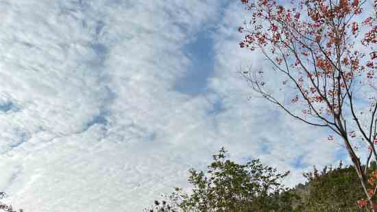 忘川风华录昵称大全男