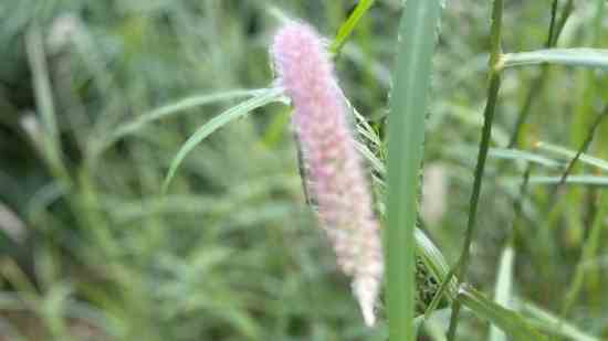 笑傲江湖女生名字