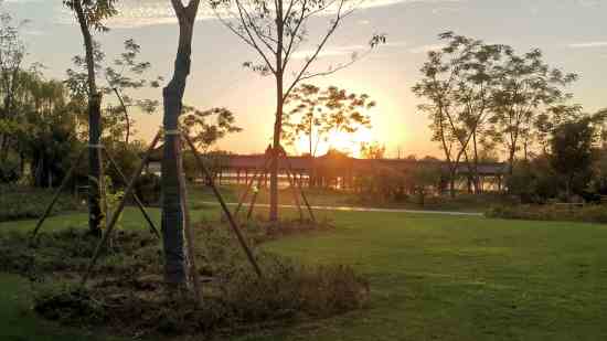 nba2konline情侣游戏名