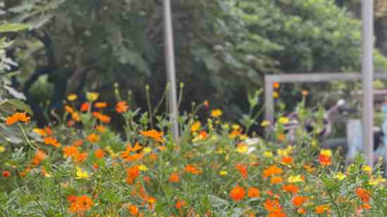 三角洲行动cp游戏名字