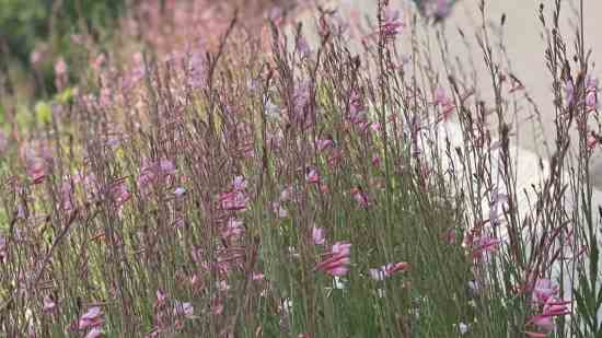 游戏名字男生古风诗意