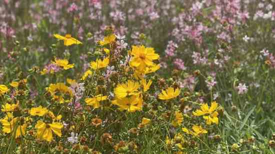 DNF好听可爱的情侣游戏名字