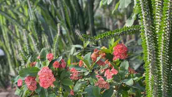 四个字游戏名字大全2025