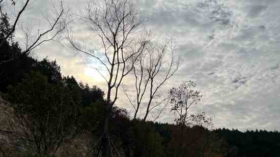 超霸气5个字的游戏名字