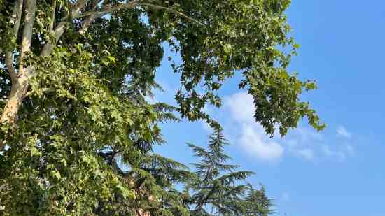 天下3游戏名诗意的