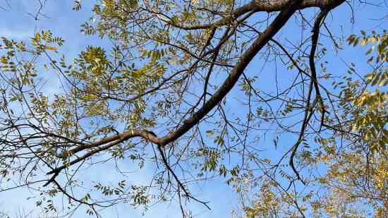 天龙八部有诗意的情侣游戏名字