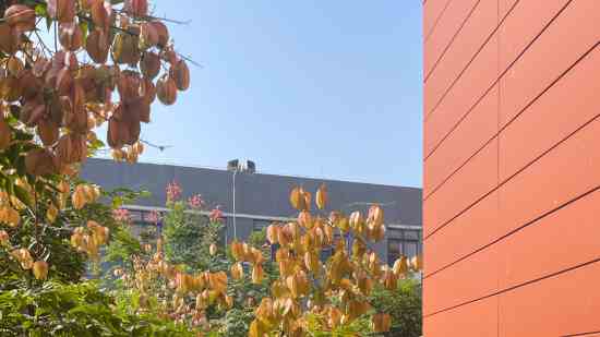 优雅有风度的王者荣耀名字