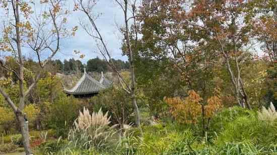 剑灵可爱的女角色名字