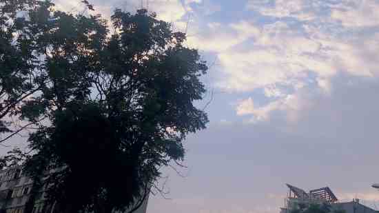 征途2好听的名字