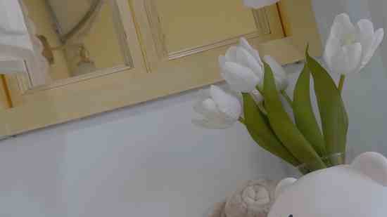 好听的跑跑卡丁车名字_丿精灵灬漫舞