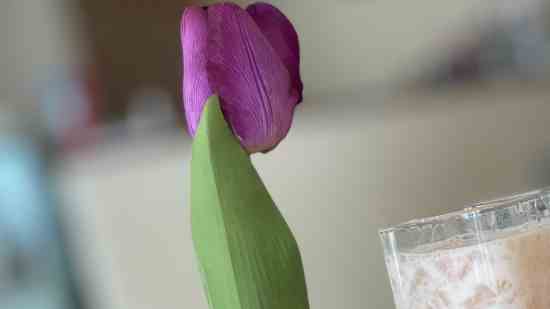 神武2手游霸气名字大全