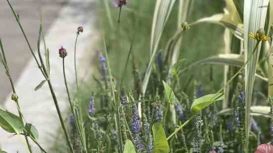 梦三国个性游戏名字