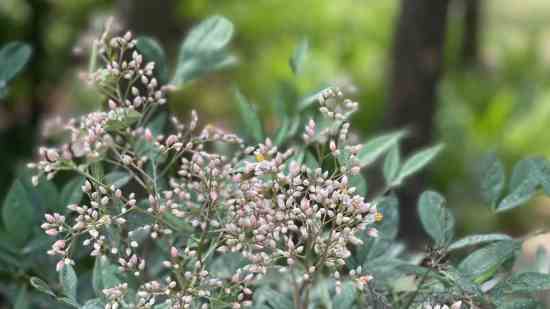 男生4个字游戏名字 可爱四个字的网名大全