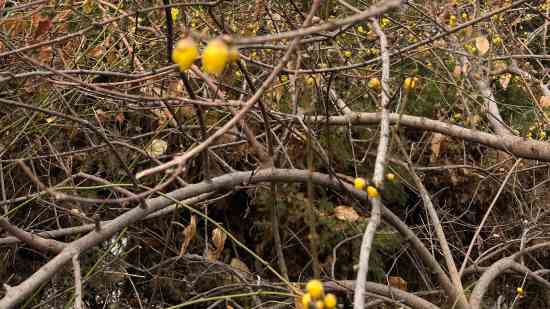 比较好玩的游戏名字大全